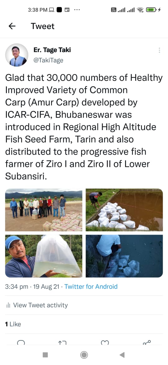 Amur carp distribution at Ziro, Arunachal Pradesh, August 2021