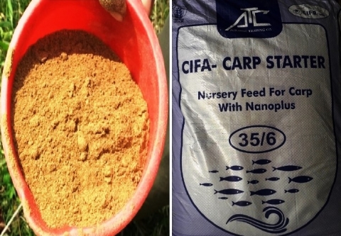 cifa fish feed