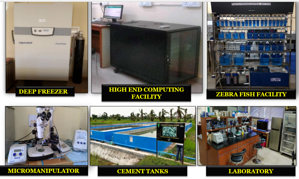 मत्स्य आनुवंशिक एवं जैवप्रोदयोगिकी प्रभाग