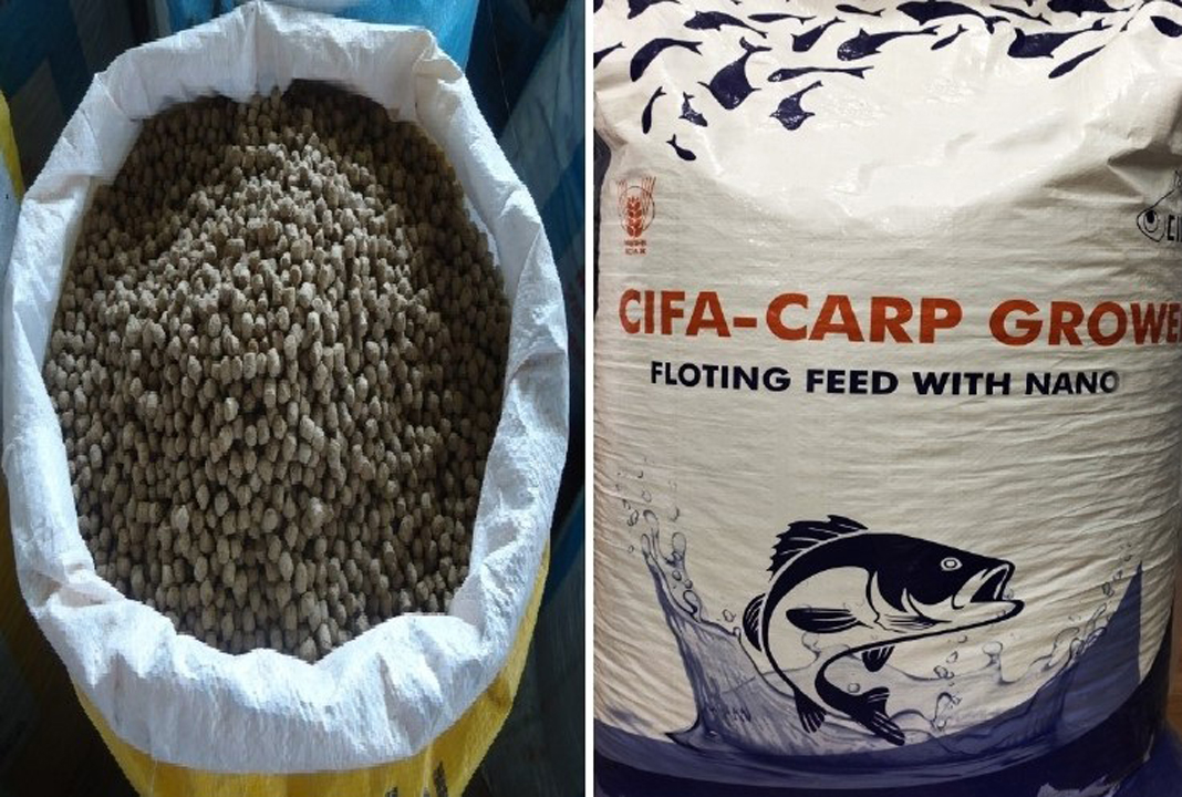 (English) Floating Feed for Carp Grower