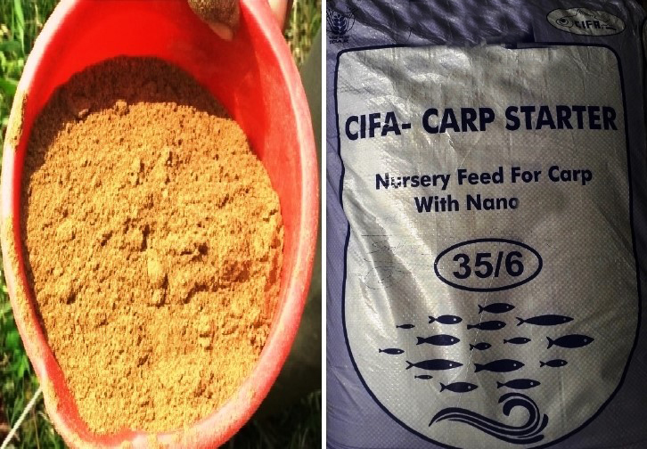 (English) Nursery Feed for Carp