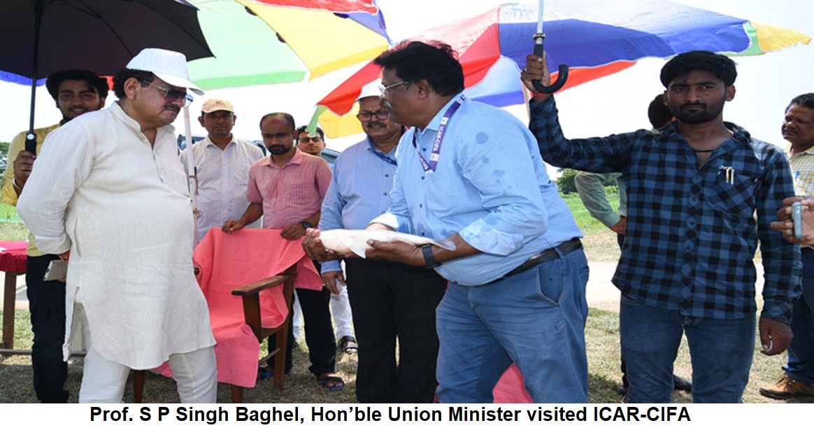 Prof. S P Singh Baghel, Hon’ble Union Minister visited ICAR-CIFA